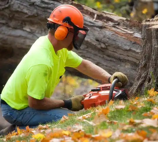 tree services Harrisonville